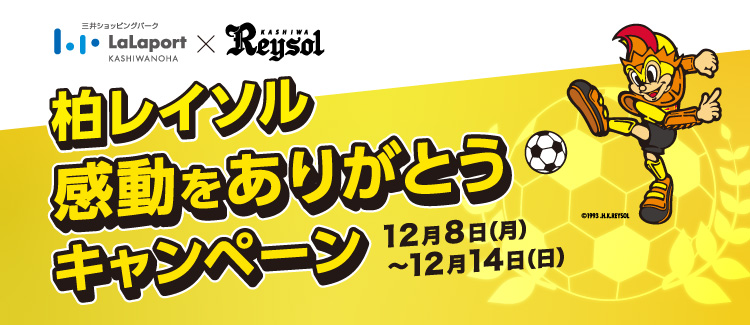 柏レイソル感動をありがとうキャンペーン