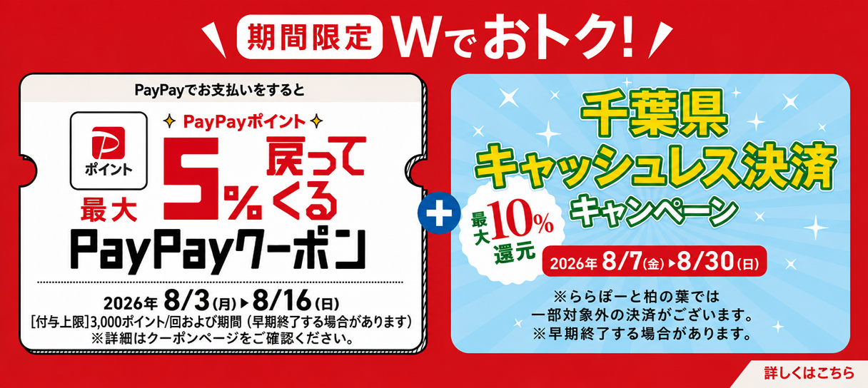 paypay×치바