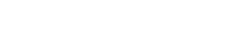 中国大黄河雑技団 中国獅子舞 練り歩き