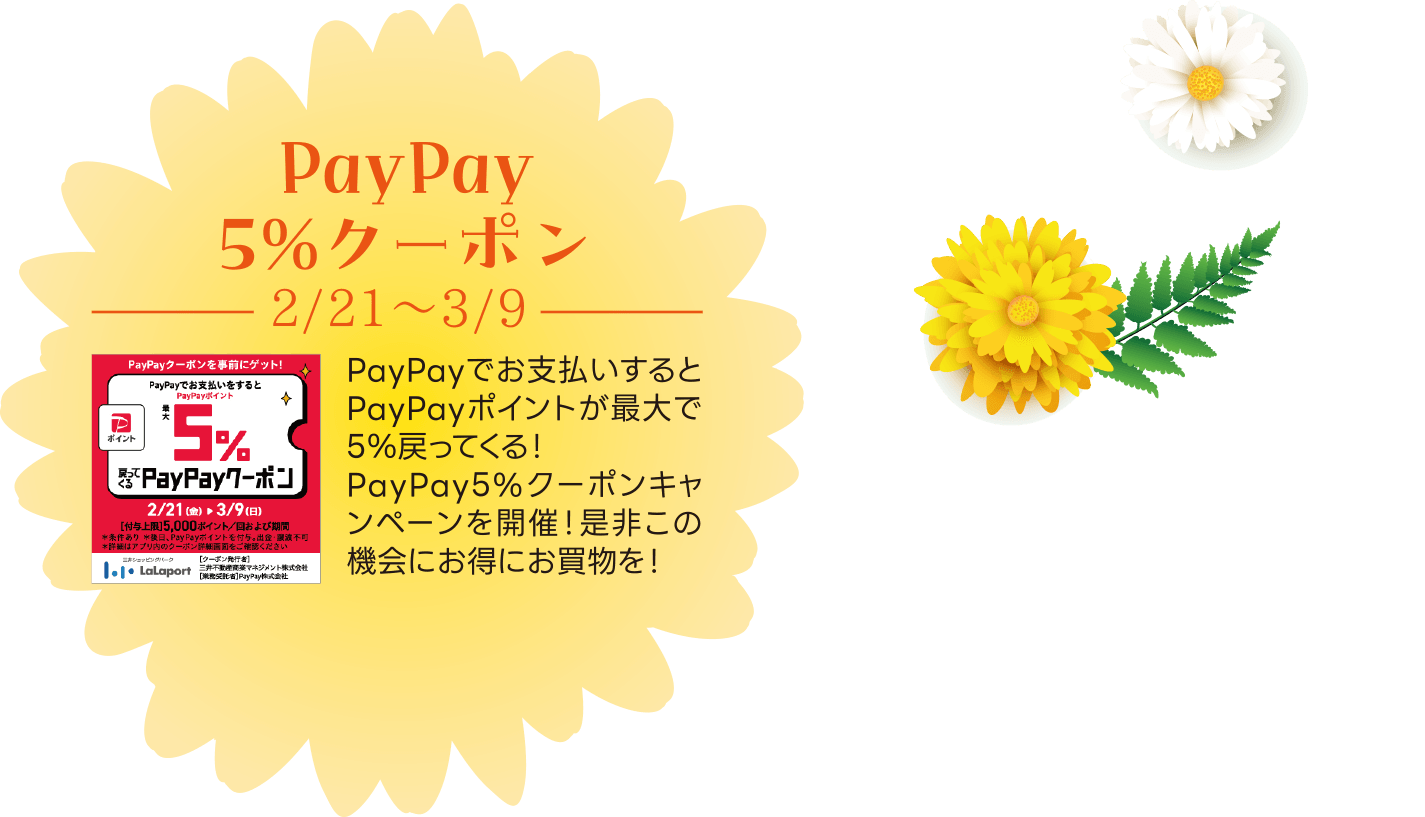 PayPay5％クーポン