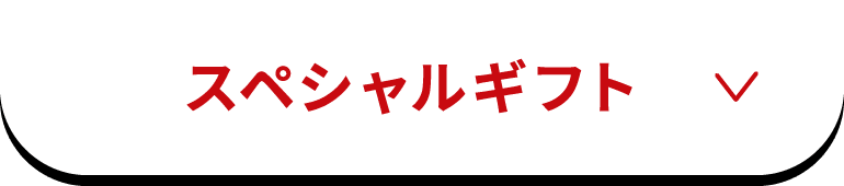 スペシャルギフト