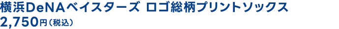 横浜DeNAベイスターズ ロゴ総柄プリントソックス