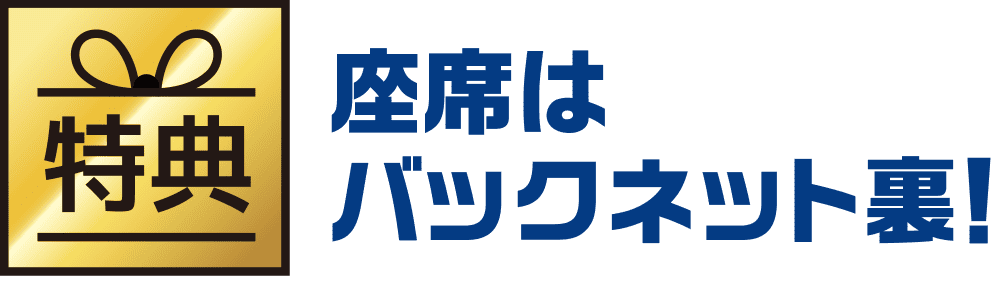 座席はバックネット裏！
