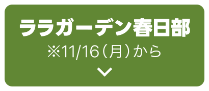 ララガーデン春日部