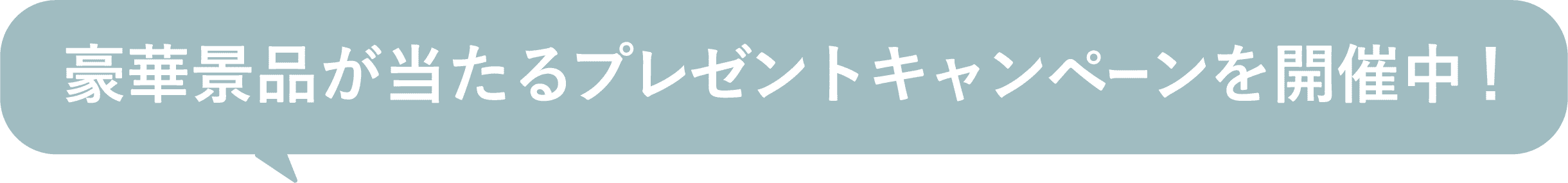 豪華景品が当たるプレゼントキャンペーンを開催中！