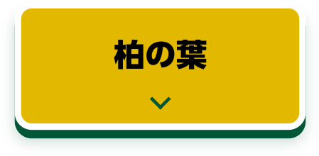 LaLaport Kashiwanoha