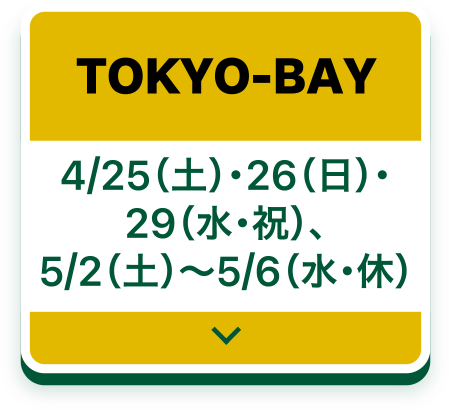 TOKYO-BAY