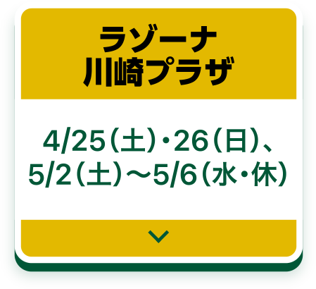 LAZONA Kawasaki Plaza