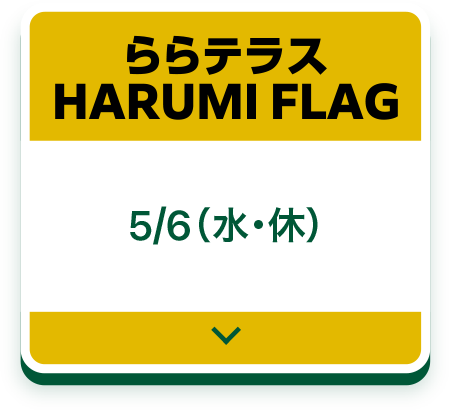 라라 테라스 HARUMI FLAG