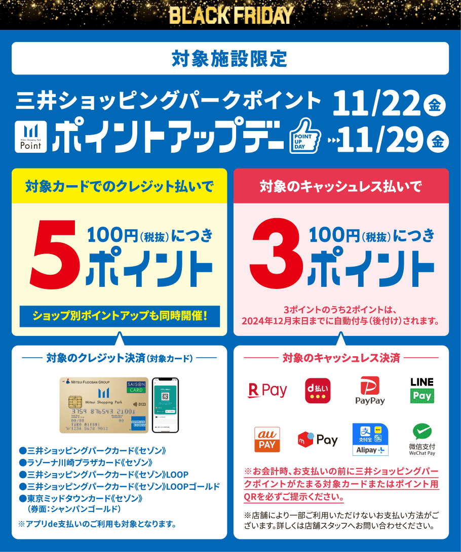 BLACK FRIDAY ポイントアップデー