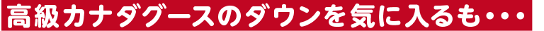 高級カナダグースのダウンを気に入るも・・・