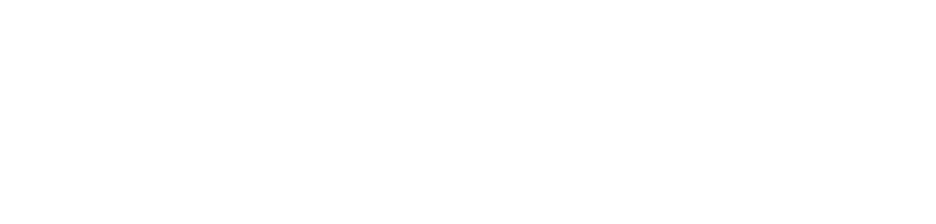 本日のお買い上げ商品