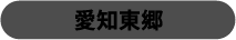 愛知東郷