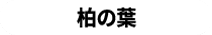 柏の葉