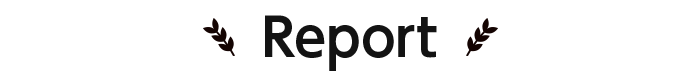 Report