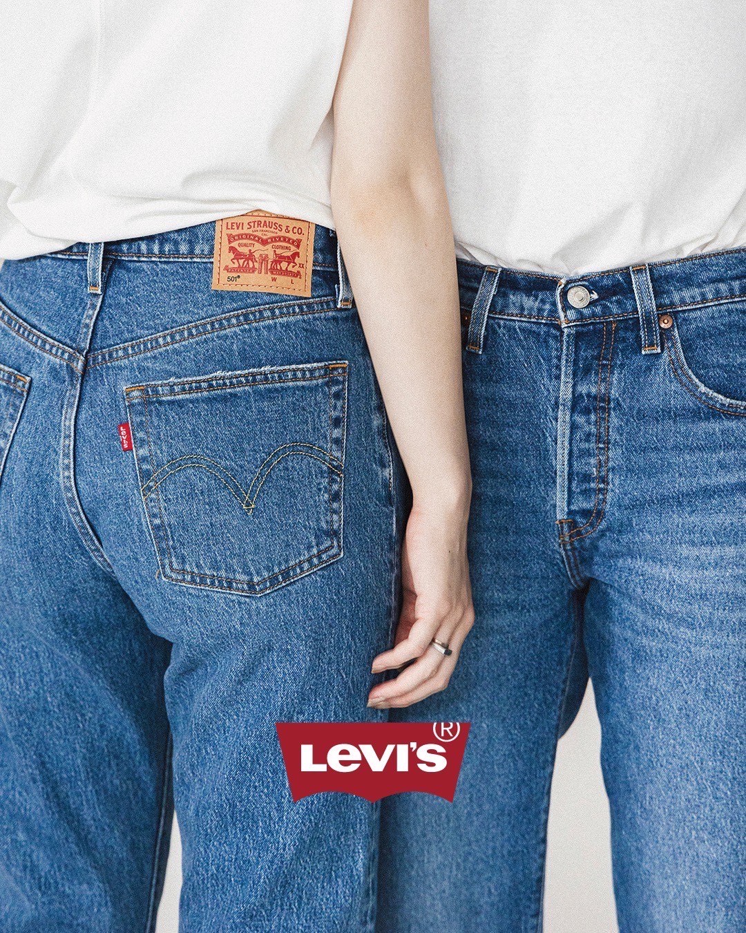 Model levis 501 online