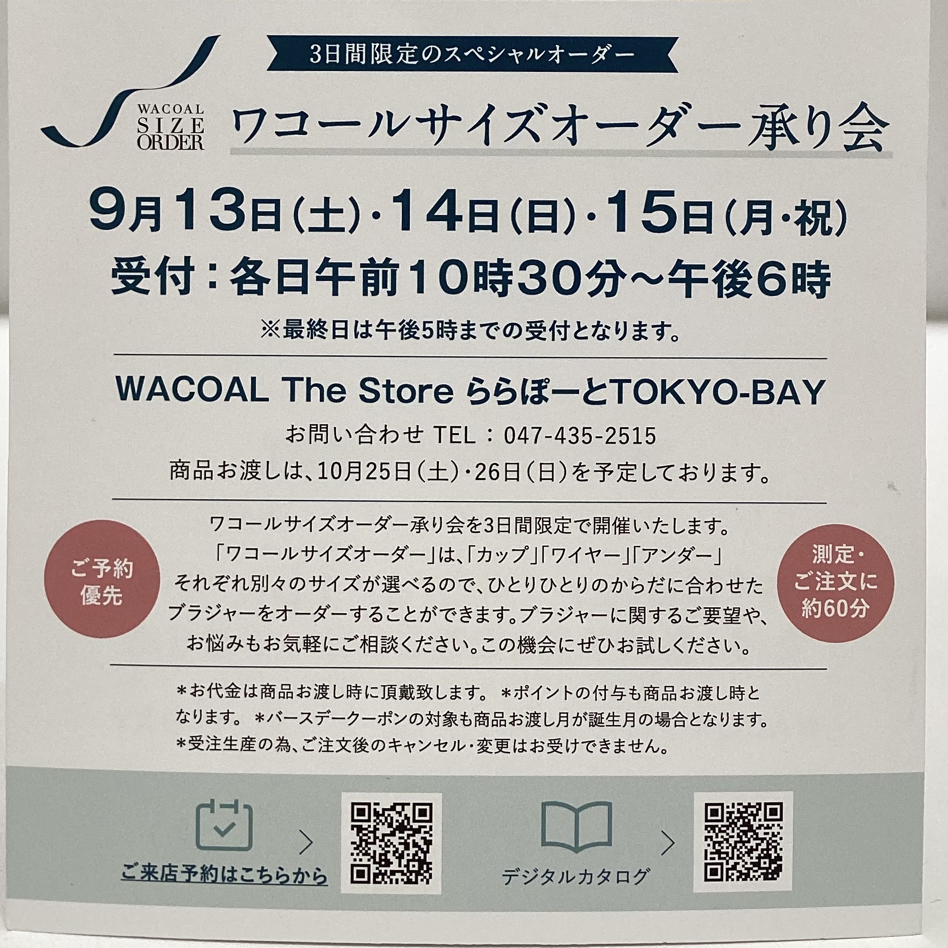 辰政 プラプラオーダー 13_000000006443.jpg?1717376369