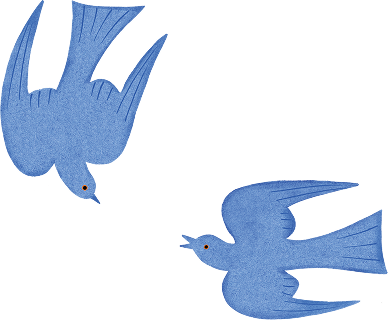 鳥