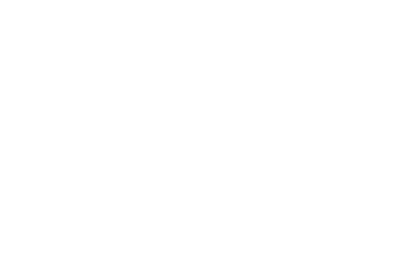 LaLaport Bargain
