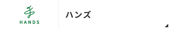 핸즈