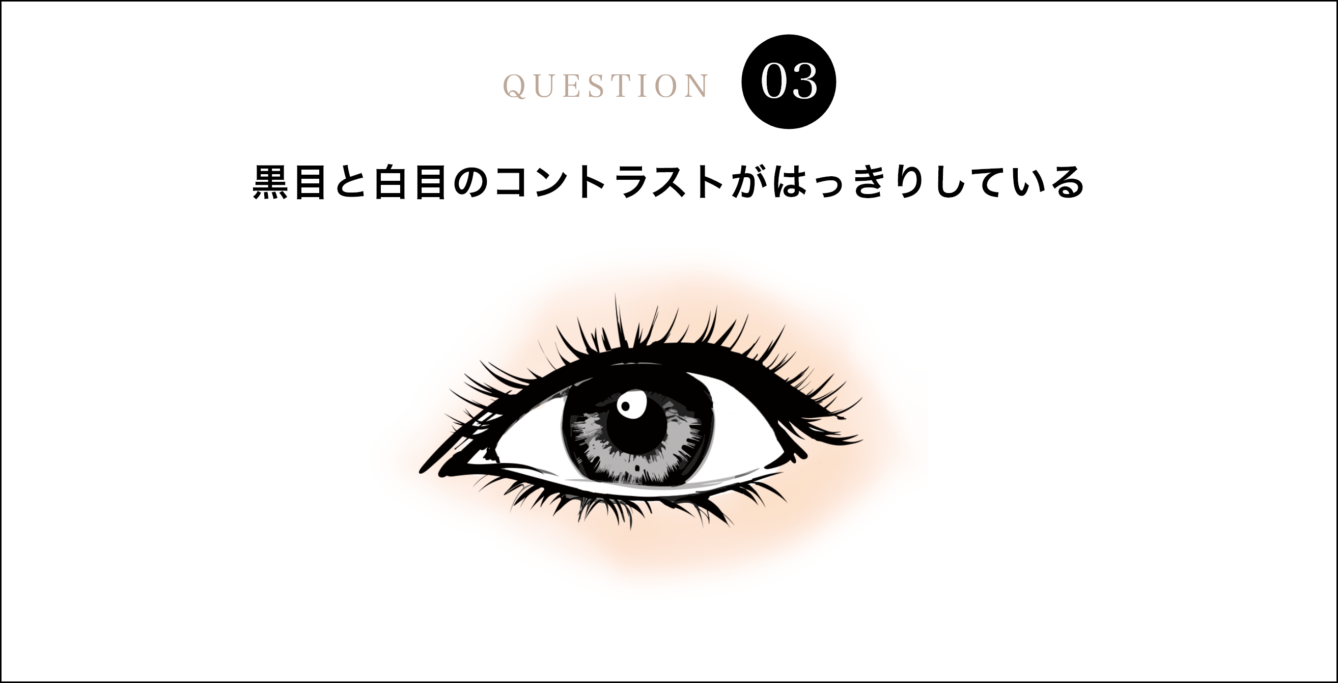 黒目と白目のコントラストがはっきりしている