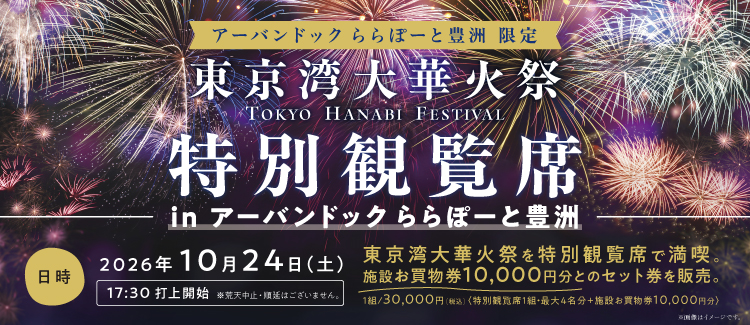 東京湾大華火大会