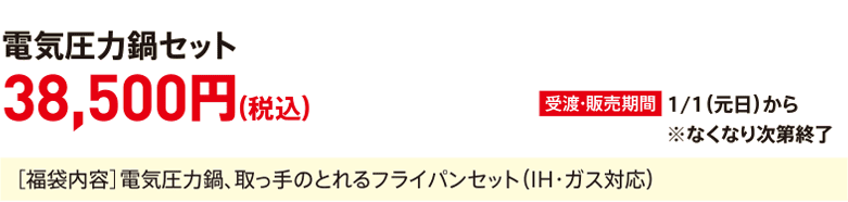 Electric pressure cooker set