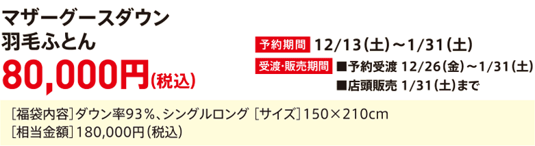 Mother Goose Down Comforter