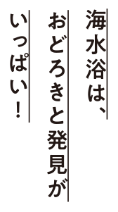 海水浴は、おどろきと発見がいっぱい！