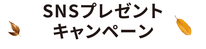 SNSプレゼントキャンペーン