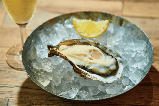 Oyster Plates［4F］