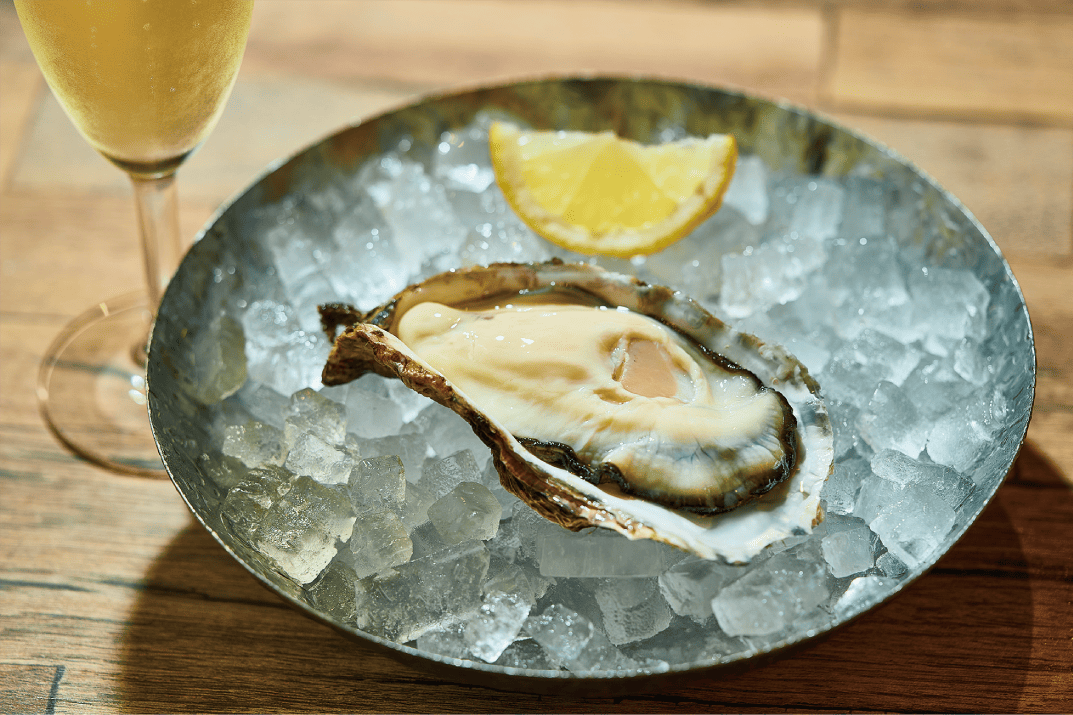 Oyster Plates［4F］