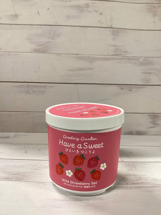 ワイルドストロベリー栽培セット | ラゾーナ川崎プラザ