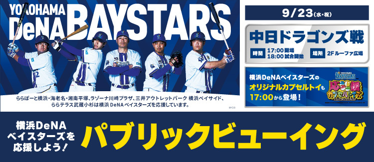 Baystars PV