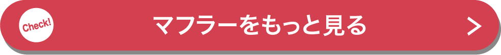 マフラーをもっと見る