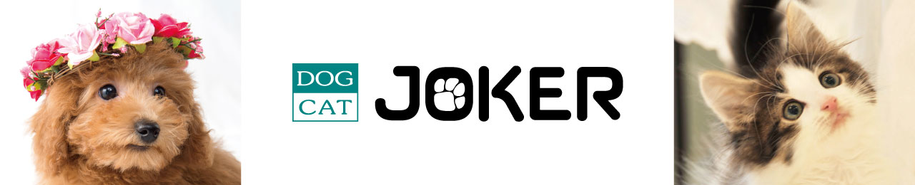 DOG&CAT JOKER