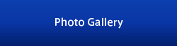 Photo Gallery