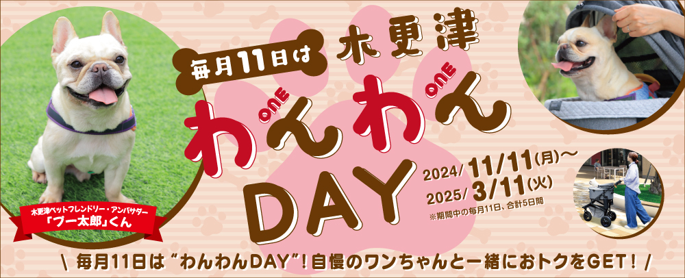 毎月11日は木更津わんわんDAY 2024/11/11（月）～2025/3/11（火）