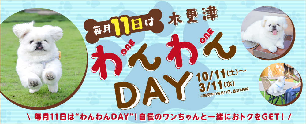 毎月11日は木更津わんわんDAY 10/11（土）～3/11（水）