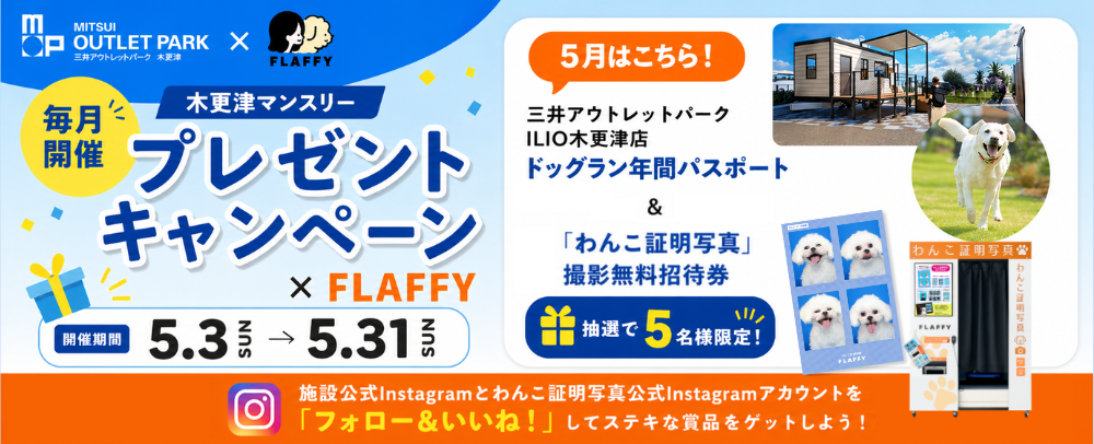 フォロー＆いいねで応募完了！プレゼントキャンペーン開催 5/3（日）～31（日）