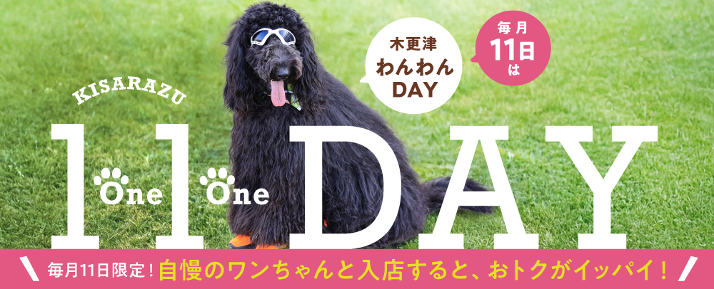 毎月11日は木更津わんわんDAY 10/11（土）～3/11（水）