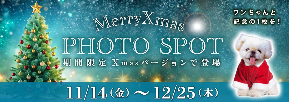 11/14（金）～12/25（木）期間限定 フォトスポットがXmasバージョンで登場！ワンちゃんと記念の1枚を！