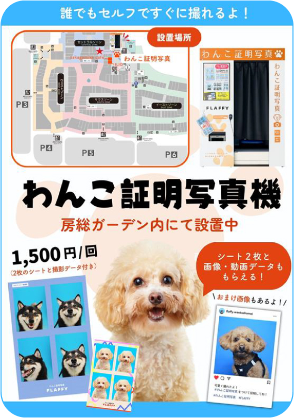 Boso Garden 目前正在安裝狗狗COIN PHOTO！