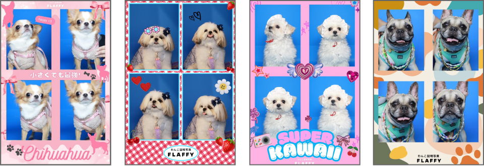 襯紙的種類也很多!