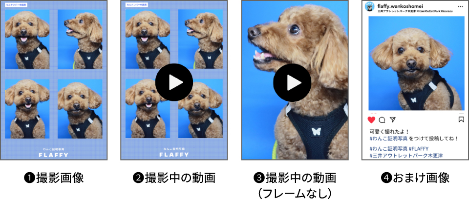 還能得到攝影數據哦!