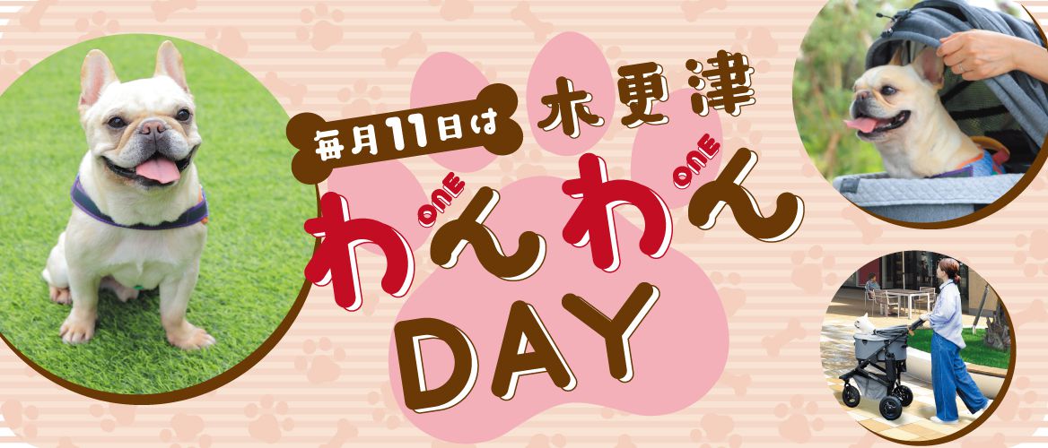 毎月11日は“木更津わんわんDAY”