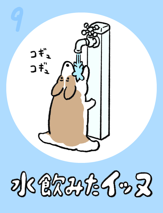 水が飲みたたイッヌ