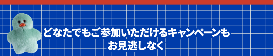 任何人都可以参加的活动
