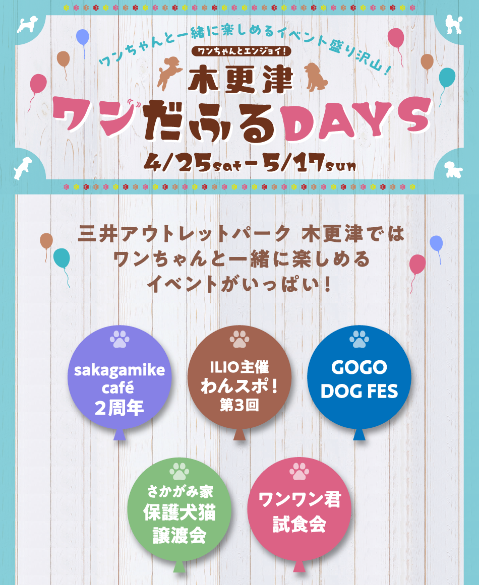 木更津美好時光 4月25日（週六）至5月17日（週日）