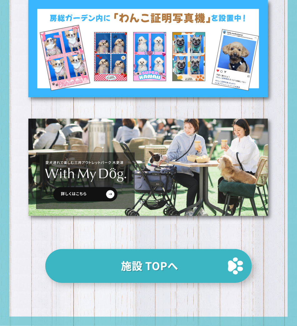 木更津美好時光 4月25日（週六）至5月17日（週日）